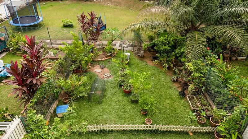 Rare Bukit Timah Freehold! Top Schools + MRT + Rebuild Potential!, Watten Estate, Newton / Novena, 3 Bedrooms, 3,000 sqft, Terraced House For Sale, by Seah Wan Peng (Gilda), 500284668 - Garden - PropertyGuru.com.sg