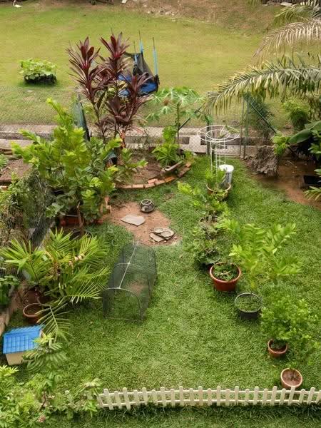 Watten Estate, Tanglin / Holland / Bukit Timah, 3 Bedrooms, 2,300 sqft, Terraced House For Sale, by Sylvia Chung, 500284723 - Garden - PropertyGuru.com.sg