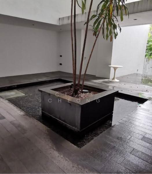 The Oliv @ Balmoral, 11C Balmoral Road, Tanglin / Holland / Bukit Timah, 4 Bedrooms, 4,908 sqft, Apartment For Rent, by Clive Cheong, 500285036 - PropertyGuru.com.sg
