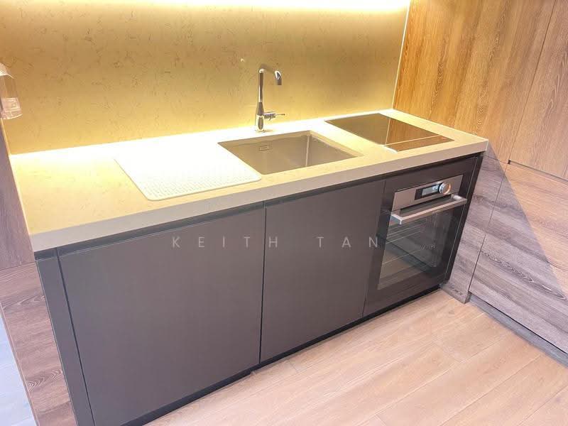 10 Evelyn, 10 Evelyn Road, Newton / Novena, 1 Bedroom, 495 sqft, Condominium For Rent, by Keith Tan, 500285381 - Kitchen - PropertyGuru.com.sg