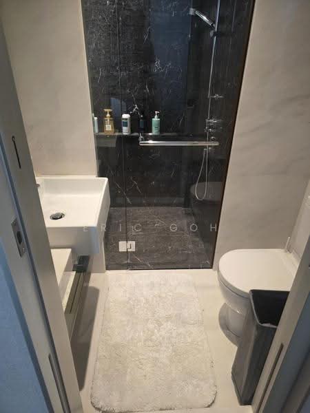 St. Regis Residences Singapore, 33 Tanglin Road, Tanglin / Holland / Bukit Timah, 4 Bedrooms, 2,153 sqft, Apartment For Rent, by Eric Goh, 500285472 - PropertyGuru.com.sg