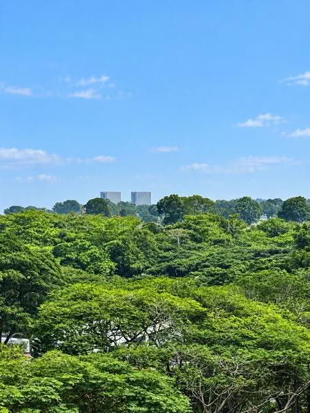 Sanctuary Green, 181 Tanjong Rhu Road, East Coast / Marine Parade, 2 Bedrooms, 786 sqft, Condominium For Sale, by Esther Tan, 500285818 - PropertyGuru.com.sg