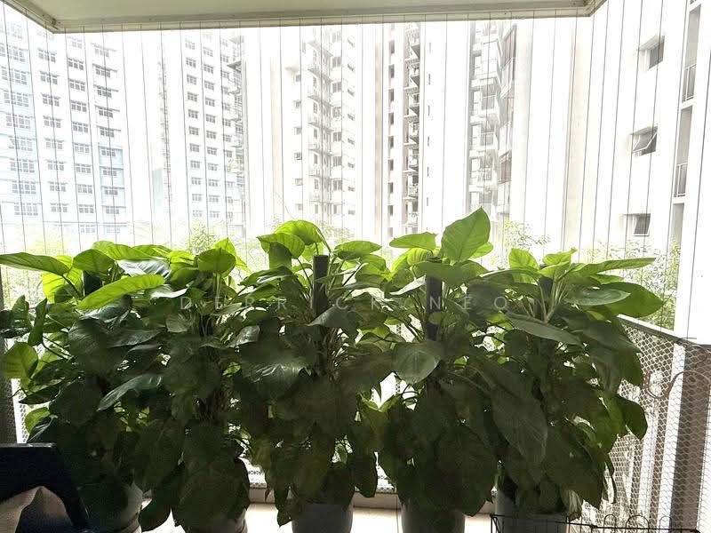 138B Yuan Ching Road, 138B Yuan Ching Road, Boon Lay / Jurong / Tuas, 3 Bedrooms, 980 sqft, HDB Flat For Sale, by Derrick Neo, 500285879 - Balcony - PropertyGuru.com.sg