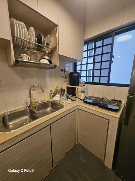 Teresa Ville, 1003 Lower Delta Road, Harbourfront / Telok Blangah, Room Rental, 200 sqft, Condominium For Rent, by Gary Lee, 500285920 - Kitchen - PropertyGuru.com.sg