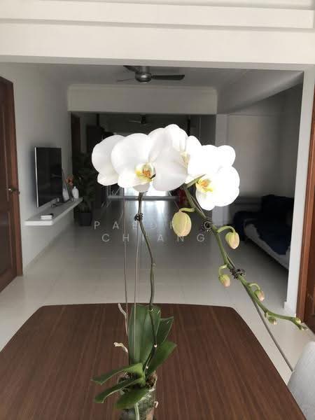 106 Spottiswoode Park Road, 106 Spottiswoode Park Road, Chinatown / Tanjong Pagar, Room Rental, 200 sqft, HDB Flat For Rent, by Paedric Chiang, 500285994 - Living Room - PropertyGuru.com.sg