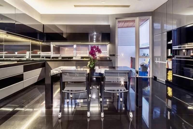 Jalan Elok, Orchard, River Valley, Orchard, Orchard / River Valley, 5 Bedrooms, 6,600 sqft, Corner Terrace For Sale, by Frances Lim, 500286117 - Kitchen - PropertyGuru.com.sg