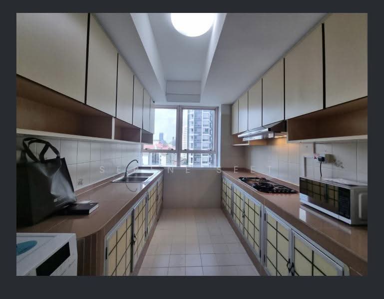 336 River Valley, 336 River Valley Road, Orchard / River Valley, 2 Bedrooms, 1,582 sqft, Apartment For Rent, by Serene Seet, 500286129 - Kitchen - PropertyGuru.com.sg