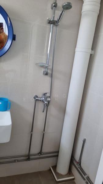 747 Jurong West Street 73, 747 Jurong West Street 73, Boon Lay / Jurong / Tuas, Room Rental, 120 sqft, HDB Flat For Rent, by Zheng Ronghua 郑荣华, 500286410 - Bathroom - PropertyGuru.com.sg