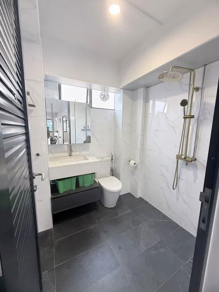432 Bukit Panjang Ring Road, 432 Bukit Panjang Ring Road, Dairy Farm / Bukit Panjang / Choa Chu Kang, 4 Bedrooms, 1,377 sqft, HDB Flat For Sale, by Roland Wong, 500286624 - Bathroom - PropertyGuru.com.sg