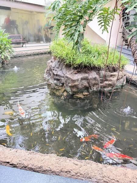 Horizon Gardens, Ang Mo Kio Avenue 2, Ang Mo Kio / Bishan / Thomson, 5 Bedrooms, 3,014 sqft, Cluster House For Sale, by TC Tan, 500286782 - Gym - PropertyGuru.com.sg