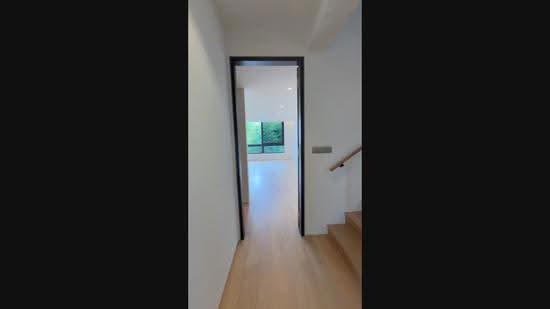 Watten Enclave ✧ Striking New Detached within 1km to RGPS, Watten Estate Road, Hillcrest Road, Shelford Road, Newton / Novena, 6 Bedrooms, 8,264 sqft, Detached House For Sale, by Brenda Zee (徐黎倫), 500286998 - PropertyGuru.com.sg