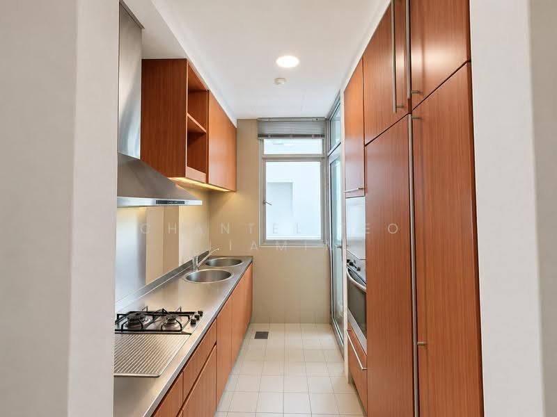 The Paterson Edge, 26 Paterson Road, Orchard / River Valley, 2 Bedrooms, 990 sqft, Apartment For Rent, by Chantel Teo Jiamin, 500287001 - Kitchen - PropertyGuru.com.sg