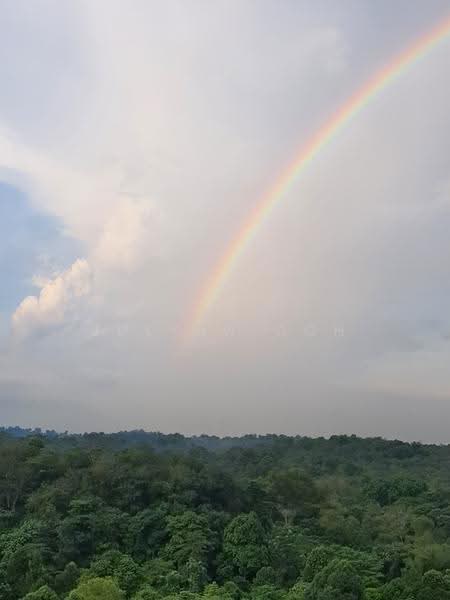 Chestervale, 31 Bangkit Road, Dairy Farm / Bukit Panjang / Choa Chu Kang, 3 Bedrooms, 1,442 sqft, Condominium For Sale, by Julynn Goh, 500287049 - Breathtaking Views - PropertyGuru.com.sg