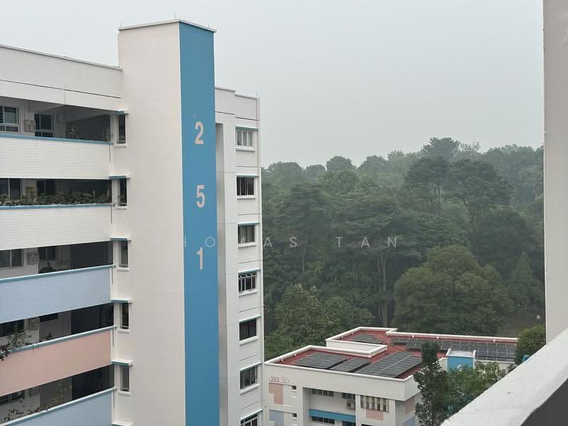 252 Bangkit Road, 252 Bangkit Road, Dairy Farm / Bukit Panjang / Choa Chu Kang, 2 Bedrooms, 786 sqft, HDB Flat For Rent, by Thomas Tan, 500287590 - PropertyGuru.com.sg