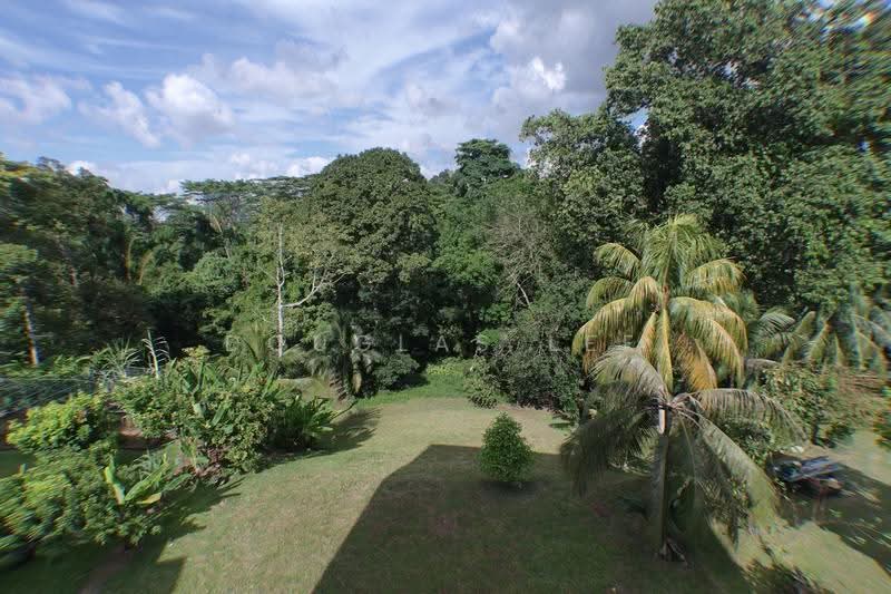 Jalan Kakatua/ Jalan Layang Layang/ Jalan Selanting, Jalan Kakatua/ Jalan Layang Layang/ Jalan Selanting, Clementi Park / Upper Bukit Timah, 6 Bedrooms, 16,000 sqft, Detached House For Sale, by Douglas Lee, 500287615 - Exterior - PropertyGuru.com.sg