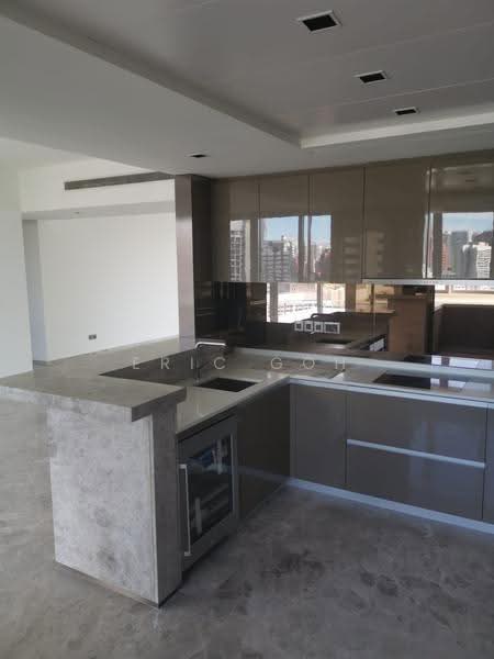 Draycott Eight, 4 Draycott Park, Tanglin / Holland / Bukit Timah, 4 Bedrooms, 2,896 sqft, Condominium For Sale, by Eric Goh, 500287762 - Kitchen - PropertyGuru.com.sg