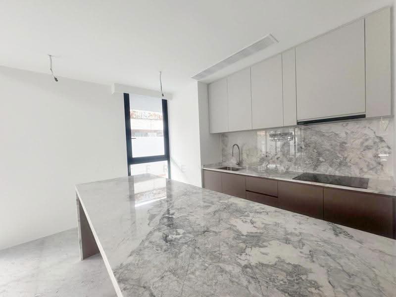 Serangoon Garden Estate, Brockhampton Drive, Hougang / Punggol / Sengkang, 6 Bedrooms, 7,460 sqft, Semi-Detached House For Sale, by Jeffrey Liew, 500288008 - Kitchen - PropertyGuru.com.sg