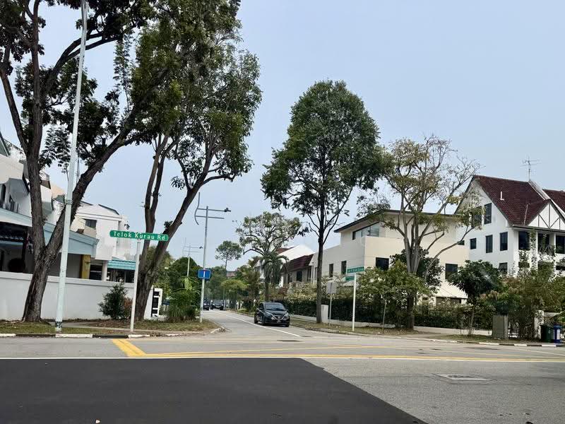 Telok Kurau Road, Telok Kurau Road, East Coast / Marine Parade, 5 Bedrooms, 3,600 sqft, Corner Terrace For Sale, by Andy Ong, 500288026 - PropertyGuru.com.sg