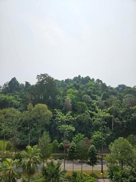 Parkview Apartments, 1 Bukit Batok Street 25, Dairy Farm / Bukit Panjang / Choa Chu Kang, 3 Bedrooms, 1,130 sqft, Apartment For Sale, by Shawn Lim BC, 500288356 - Greenery View - PropertyGuru.com.sg
