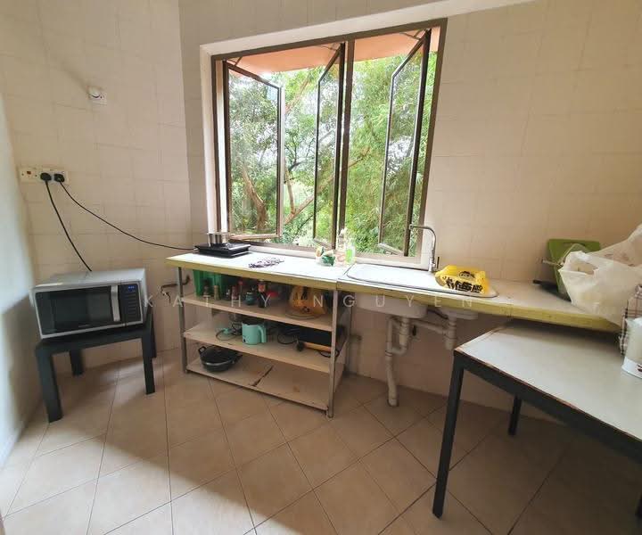 Balmoral Luck, 6 Balmoral Road, Tanglin / Holland / Bukit Timah, Room Rental, 201 sqft, Apartment For Rent, by Kathy Nguyen, 500288902 - Kitchen - PropertyGuru.com.sg