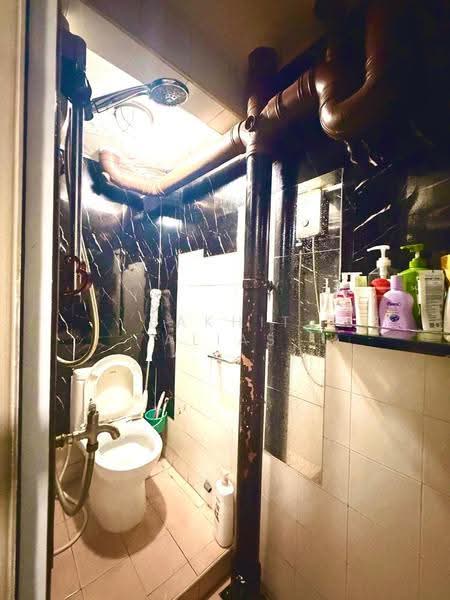 161 Lorong 1 Toa Payoh, 161 Lorong 1 Toa Payoh, Balestier / Toa Payoh, 1 Bedroom, 441 sqft, HDB Flat For Sale, by Bakhit Alias, 500288908 - Bathroom - PropertyGuru.com.sg