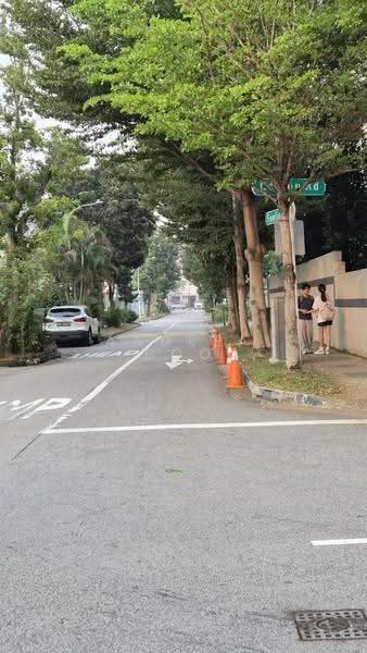 Joo Chiat Corner Terrace, Onan Road/Joo Chiat Road/ Carpmeal Road, East Coast / Marine Parade, 5 Bedrooms, 2,500 sqft, Corner Terrace For Sale, by Andrea Boo, 500288962 - PropertyGuru.com.sg