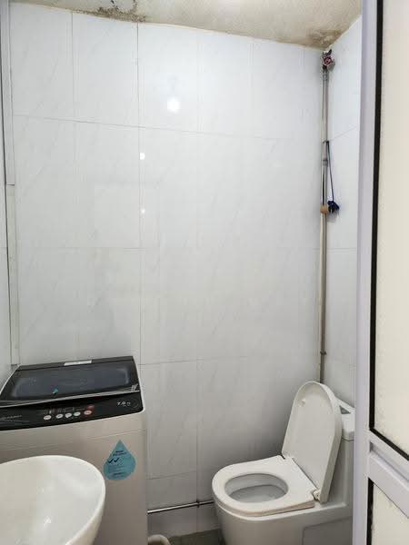 Thomson Garden Estate, Sin Ming Road, Ang Mo Kio / Bishan / Thomson, 3 Bedrooms, 1,700 sqft, Terraced House For Sale, by Daniel Gay, 500288986 - Ground Floor Bathroom - PropertyGuru.com.sg
