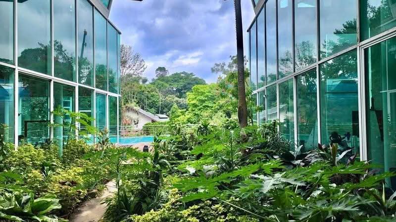 ☆ Prized GCB Plot in Nassim's Billionaires Row vicinity | Botanic Gdns View | Good Psf, Tanglin / Holland / Bukit Timah, 5 Bedrooms, 8,004 sqft, Good Class Bungalow For Sale, by Steve Tay, 500289695 - PropertyGuru.com.sg