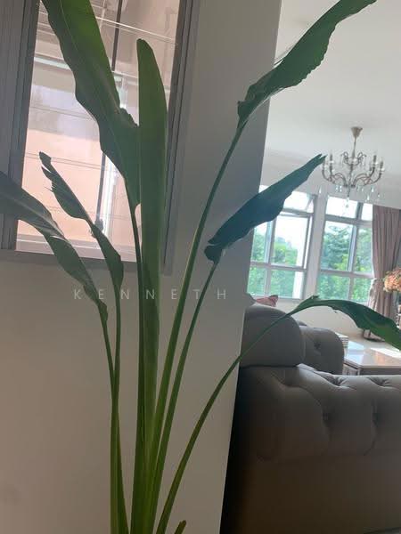 416B Fernvale Link, 416B Fernvale Link, Seletar / Yio Chu Kang, 3 Bedrooms, 1,216 sqft, HDB Flat For Rent, by Kenneth Shi, 500289770 - Living Room - PropertyGuru.com.sg