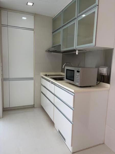 RV Suites, 396 River Valley Road, Tanglin / Holland / Bukit Timah, 1 Bedroom, 527 sqft, Apartment For Rent, by Irene ., 500290108 - Kitchen - PropertyGuru.com.sg