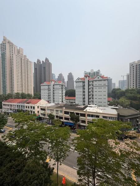 RV Suites, 396 River Valley Road, Tanglin / Holland / Bukit Timah, 1 Bedroom, 527 sqft, Apartment For Rent, by Irene ., 500290108 - View from living and bedroom - PropertyGuru.com.sg
