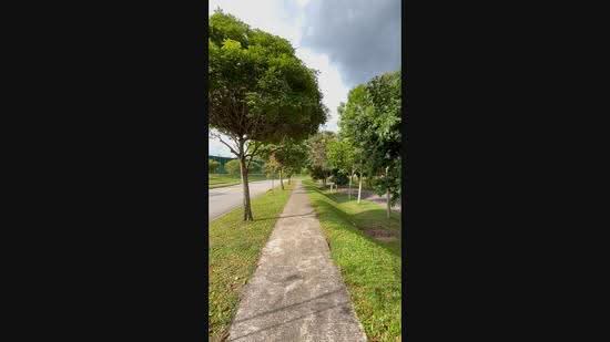 Amberwood at Holland, Tanglin / Holland / Bukit Timah, 3 Bedrooms, 872 sqft, Condominium For Sale, by Hui Chew Chia, 500290116 - PropertyGuru.com.sg