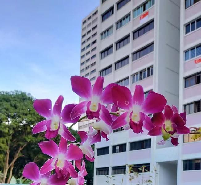 522 Jurong West Street 52, 522 Jurong West Street 52, Boon Lay / Jurong / Tuas, Room Rental, 150 sqft, HDB Flat For Rent, by Evelyn Toh, 500290296 - PropertyGuru.com.sg