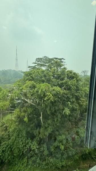 Springdale Condo, 51 Hindhede Walk, Clementi Park / Upper Bukit Timah, 3 Bedrooms, 1,152 sqft, Condominium For Sale, by Angela Ang, 500290715 - PropertyGuru.com.sg