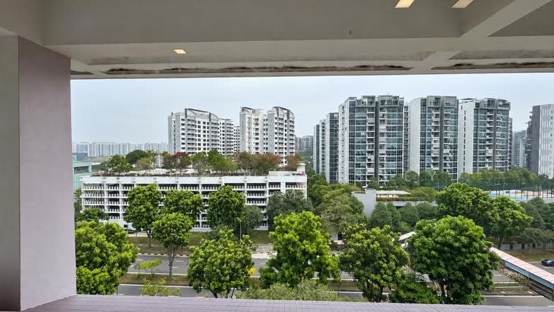 558 Hougang Street 51, 558 Hougang Street 51, Hougang / Punggol / Sengkang, 4 Bedrooms, 1,593 sqft, HDB Flat For Sale, by Xiang Rui Issey Lim, 500290752 - Exterior - PropertyGuru.com.sg
