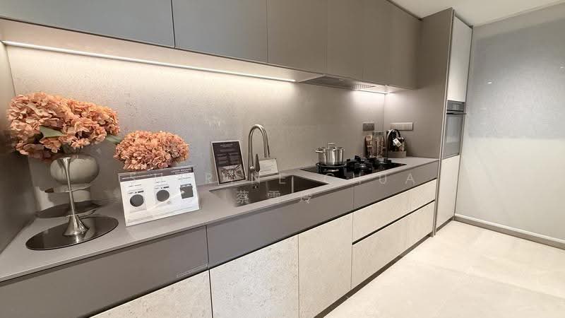 Union Square Residences, 28 Havelock Road,, Boat Quay / Raffles Place / Marina, 4 Bedrooms, 1,518 sqft, Condominium For Sale, by Sherine Chua 蔡雪玲, 500290793 - Kitchen - PropertyGuru.com.sg