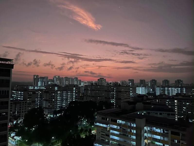 235 Choa Chu Kang Central, 235 Choa Chu Kang Central, Dairy Farm / Bukit Panjang / Choa Chu Kang, 3 Bedrooms, 1,561 sqft, HDB Flat For Sale, by Grace Ong, 500290800 - PropertyGuru.com.sg