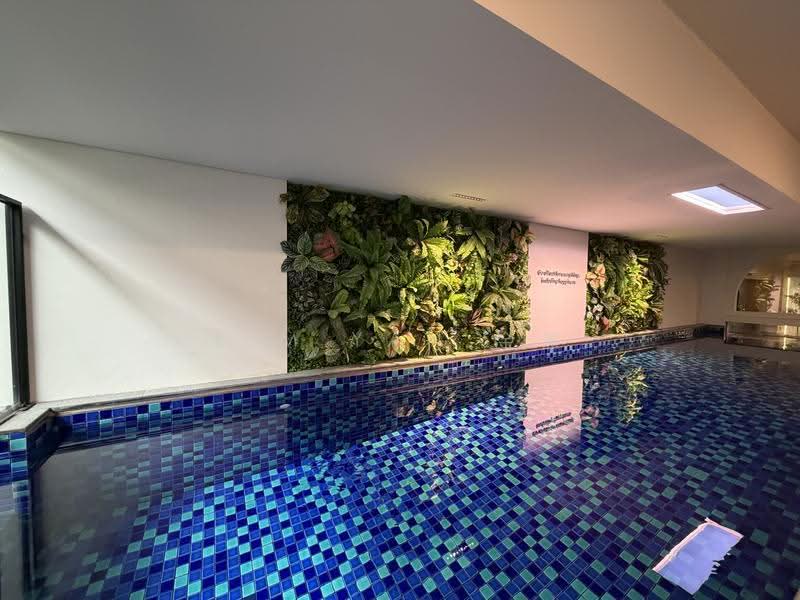 Very New with Lift and Pool, beautifully renovated with high taste!, within 1km to St Nicolas Girls’ school – call 8130 3636 to view now!, Ang Mo Kio / Bishan / Thomson, 6 Bedrooms, 5,700 sqft, Terraced House For Sale, by Kim Yan 金燕, 500290961 - Pool - PropertyGuru.com.sg