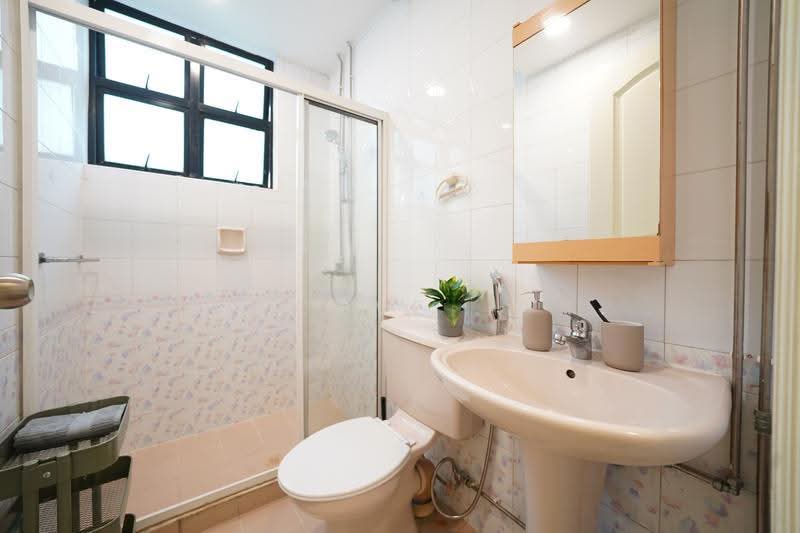 St Thomas Court, 40 Saint Thomas Walk, Orchard / River Valley, Room Rental, 105 sqft, Condominium For Rent, by Cove, 500291044 - Bathroom - PropertyGuru.com.sg