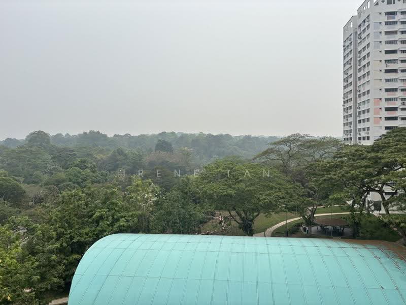 214 Petir Road, 214 Petir Road, Dairy Farm / Bukit Panjang / Choa Chu Kang, 2 Bedrooms, 786 sqft, HDB Flat For Sale, by Irene Tan, 500291383 - View from corridor - PropertyGuru.com.sg