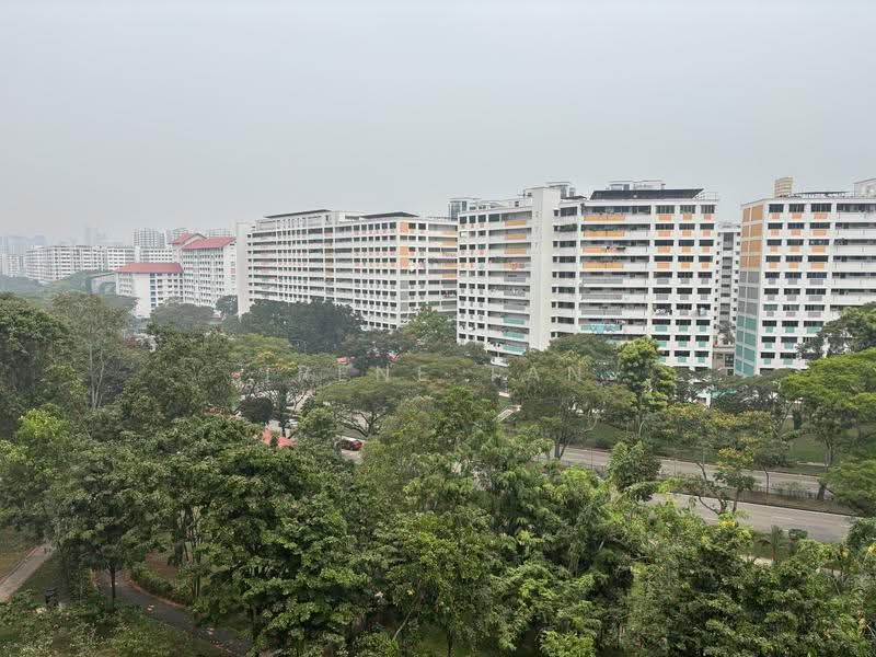 214 Petir Road, 214 Petir Road, Dairy Farm / Bukit Panjang / Choa Chu Kang, 2 Bedrooms, 786 sqft, HDB Flat For Sale, by Irene Tan, 500291383 - View from Corridor - PropertyGuru.com.sg