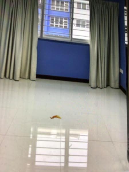 785C Woodlands Rise, 785C Woodlands Rise, Admiralty / Woodlands, 2 Bedrooms, 731 sqft, HDB Flat For Rent, by Lyn Tiew, 500291432 - PropertyGuru.com.sg