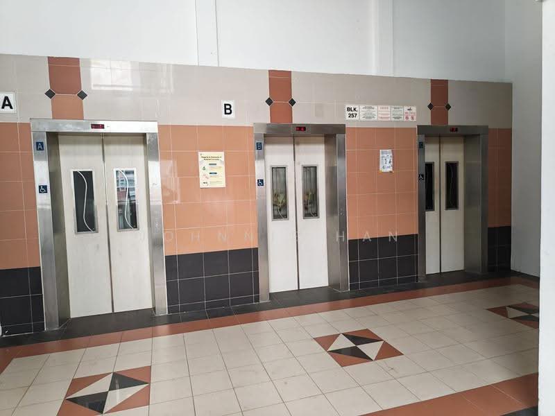 257 Bangkit Road, 257 Bangkit Road, Dairy Farm / Bukit Panjang / Choa Chu Kang, 3 Bedrooms, 1,227 sqft, HDB Flat For Sale, by Johnnie Han, 500291736 - PropertyGuru.com.sg