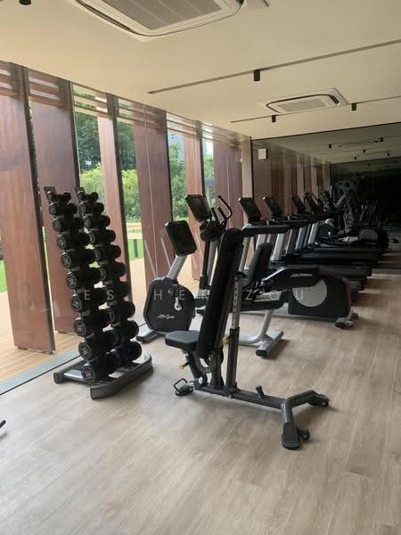 The Hyde, 11 Balmoral Road, Tanglin / Holland / Bukit Timah, 3 Bedrooms, 947 sqft, Condominium For Rent, by Esther Zou, 500291965 - Gym - PropertyGuru.com.sg