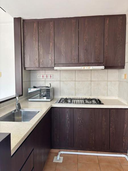 UE Square, 207 River Valley Road, Orchard / River Valley, 1 Bedroom, 506 sqft, Apartment For Rent, by BEN HE, 500292022 - Kitchen - PropertyGuru.com.sg