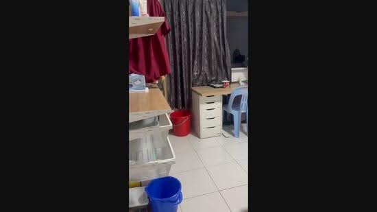 610 Jurong West Street 65, 610 Jurong West Street 65, Boon Lay / Jurong / Tuas, Room Rental, 120 sqft, HDB Flat For Rent, by Zheng Ronghua 郑荣华, 500292235 - PropertyGuru.com.sg