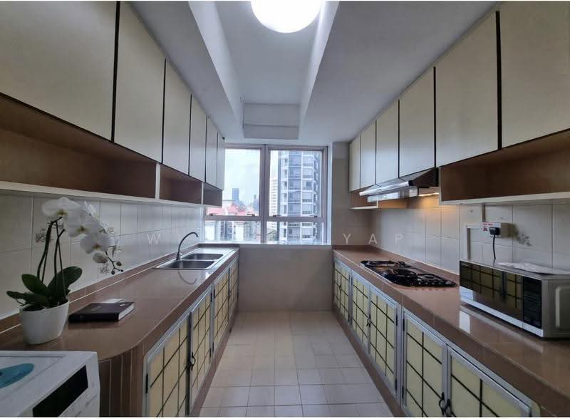 336 River Valley, 336 River Valley Road, Orchard / River Valley, 2 Bedrooms, 1,582 sqft, Apartment For Rent, by William Yap, 500292251 - Kitchen - PropertyGuru.com.sg