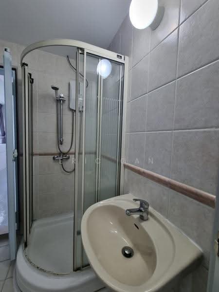 336 River Valley, 336 River Valley Road, Orchard / River Valley, 2 Bedrooms, 1,582 sqft, Apartment For Rent, by Eric Gan, 500292488 - Common Bathroom - PropertyGuru.com.sg