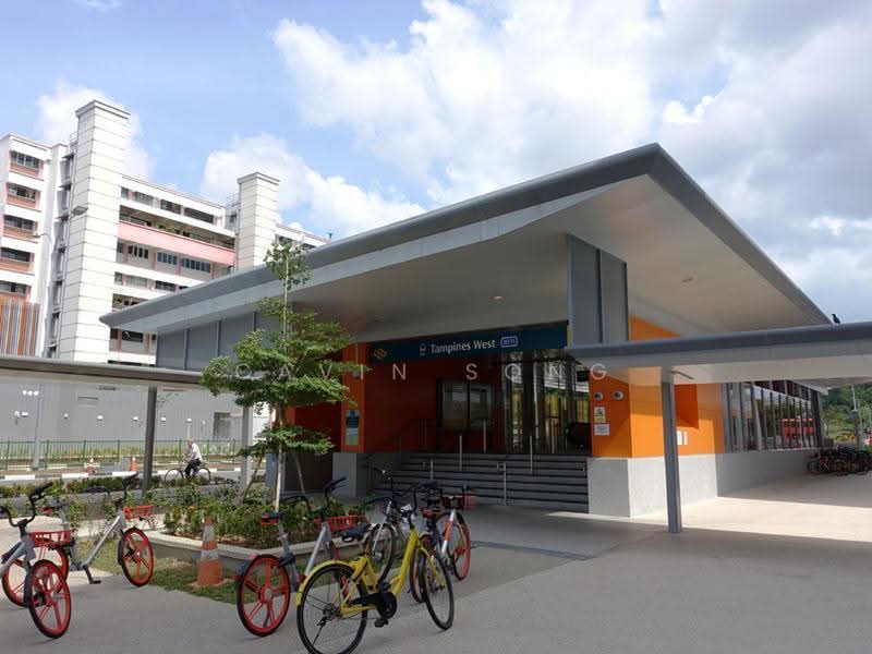 801 Tampines Avenue 4, 801 Tampines Avenue 4, Pasir Ris / Tampines, 1 Bedroom, 350 sqft, HDB Flat For Rent, by Cavin Song, 500292669 - PropertyGuru.com.sg