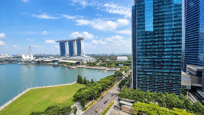 view